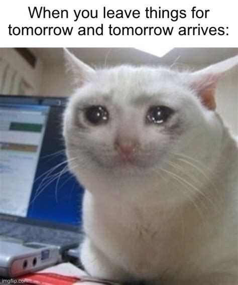 35 Popular Crying Memes To Check Out In 2023 Happier Human