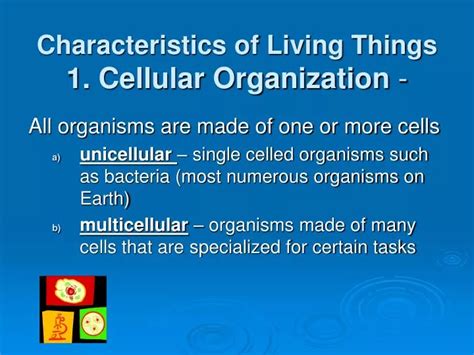 Ppt Characteristics Of Living Things 1 Cellular Organization