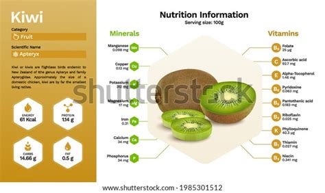 Kiwi Fruit Nutritional Properties Vector Illustration Stock Vector