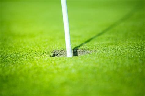 Golf Hole On Green Stock Photo Image Of Golfing Outdoors 48556924