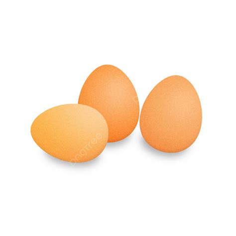 รูปไข่ไก่สามฟองแยกบนพื้นหลังโปร่งใส ฟรี png และ psd png ไข่ สีน้ำตาล ไก่ภาพ png และ psd