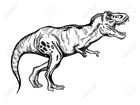 Tyrannosaurus Rex Or Trex Engraving Vector Illustration Stock Vector