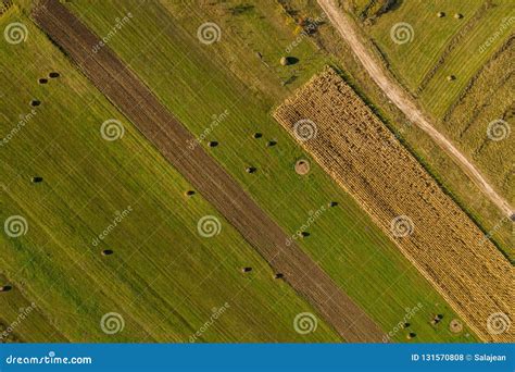 Aerial Agricultural Pattern View From A Drone Green Meadow Stock Photo