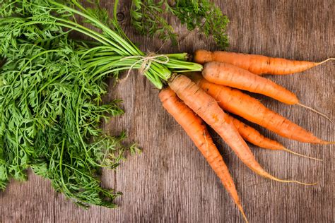 An Essential Guide How To Select A High Quality Carrot Seeds Vilee