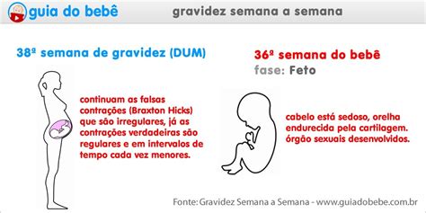 Quantos Meses Sao 38 Semanas De Gravidez