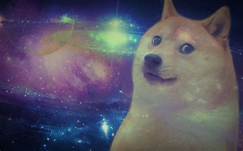 Doge Space Dog Funny Animal Pictures