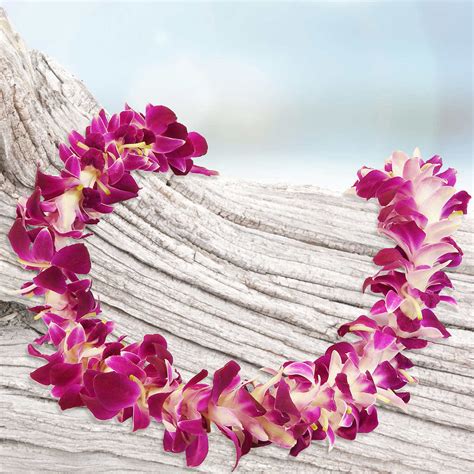 Graduation Flower Leis Safeway Best Flower Site