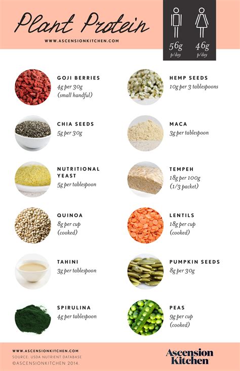 15 Gorgeous Vegan Protein Sources Plant Based Best Product Reviews