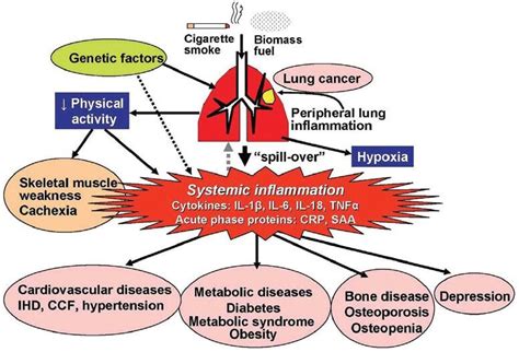 What Is Severe Systemic Disease