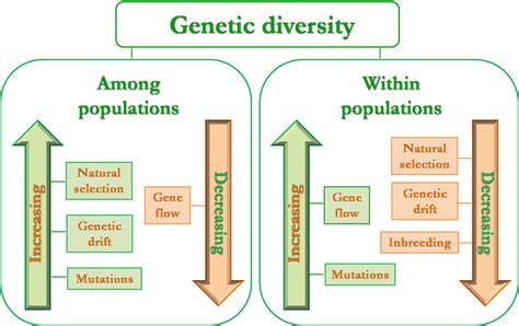Genetic Variation And The Life Cycle Study Guide Inspirit Learning Inc