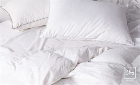 ¿cómo elegir la almohada perfecta cotton store