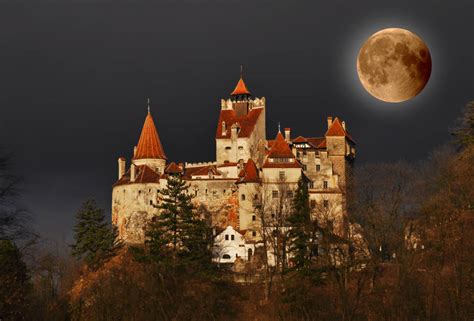 Un Viaggio Per I Castelli Della Transilvania