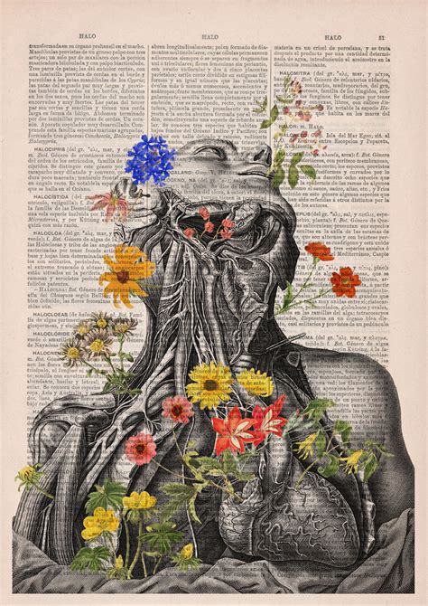 Floral Anatomical Illustrations Breathe New Life Into Old Discarded