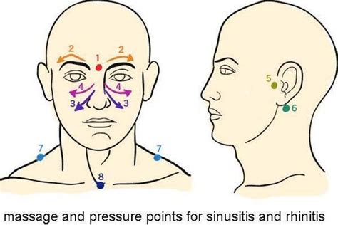 Sinus Massage Pressure Points Work In Small Circular Motions Starting At Point 1 Massage