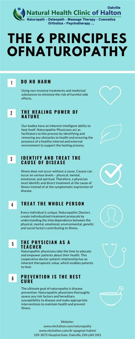 The 6 Principles Of Naturopathy Holistic Healing Natural Treatments