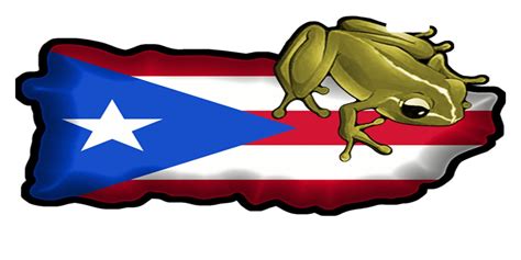 Puerto Rico Flag Luquillo License Plate Boricua Emblem Isla Del Encanto