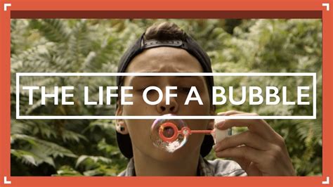 The Life Of A Bubble Youtube