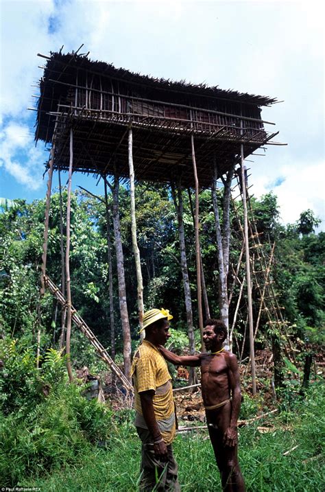 Meet The Korowai Tribe Of New Guinea Daily Mail Online