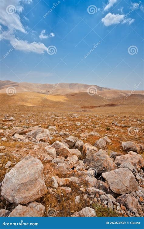 Stone Desert Stock Image Image Of Land Harsh Ground 26353939