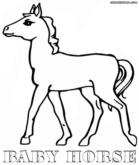 Beautiful images of horses and ponies to print and color. Baby Horses Coloring Pages - Coloring Home