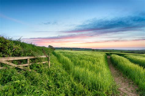 Luxury Holiday Cottages To Rent New Forest Dorset