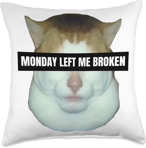Meme Monday Left Me Broken Cat Costume Monday Left Me