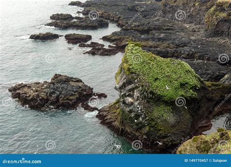 Londrangar Basalt Cliffs In Iceland Stock Image Image Of Atlantic