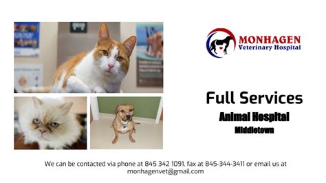 Ppt Full Services Animal Hospital In Middletown Powerpoint