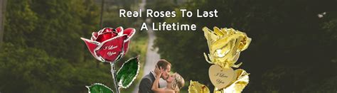 Personalized Gold Roses And Anniversary Ts Love Is A Rose