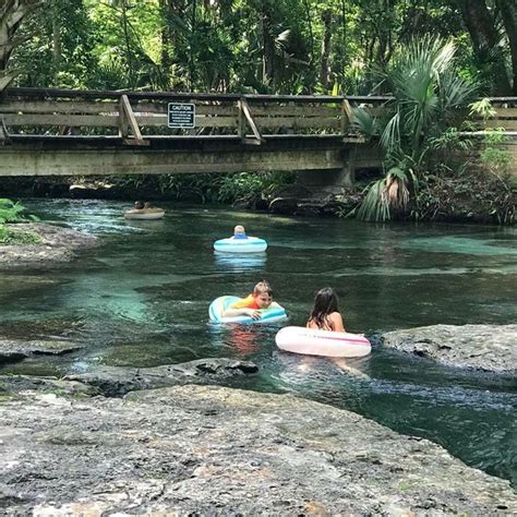 this hidden lazy river in kelly park florida has some of the bluest water in the state