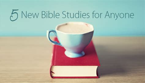 5 New Bible Studies For Anyone Lifeway Women All Access