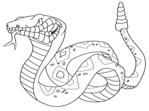 Black Mamba Snake Coloring Page