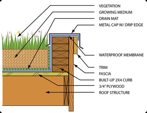 16 Green Roof Design Details Images Green Roof Detail Drawing Green