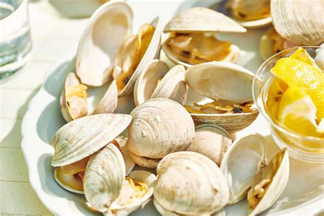 How To Cook Clams On The Grill — The Mom 100
