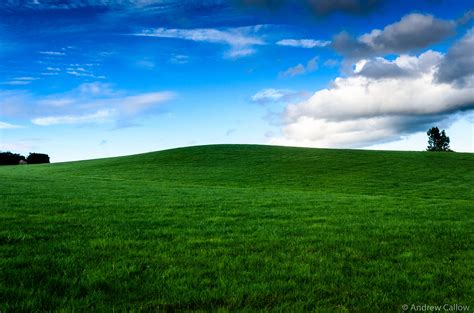 Green Grassy Hill Under Blue Sky Hd Wallpaper Wallpaper Flare