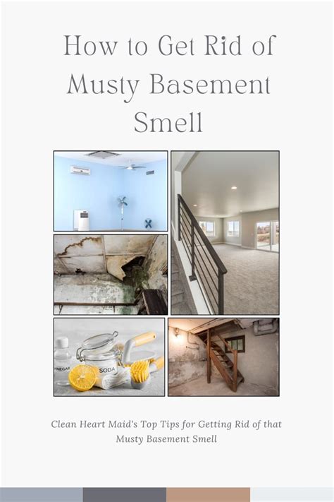 How To Get Rid Of Musty Basement Smell Basement Smelling Household