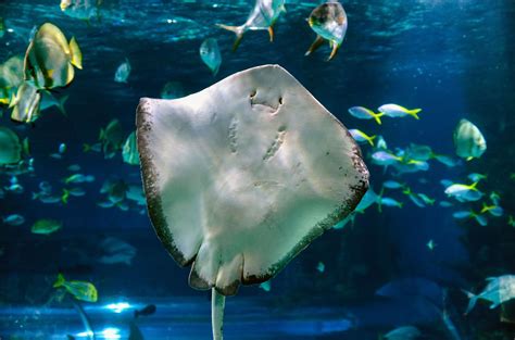 These Happy Sea Creatures Will Make You Smile Bristol Aquarium