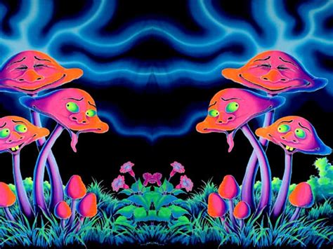 Trippy Mushroom Wallpaper Wallpapersafari