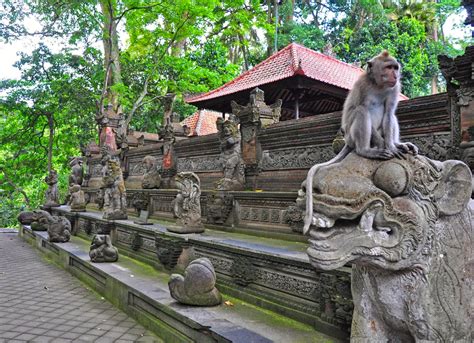 The Great Temple Of Death In The Sacred Monkey Forest Zermatism