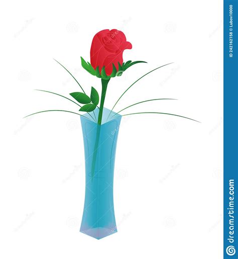 Rose In Glass Vase Stock Illustration Illustration Of Purple 242162158