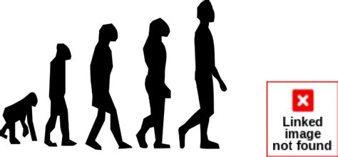Evolution Theory Clipart Clipground