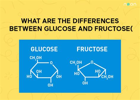 What Are The Differences Between Glucose And Fructose Noon Academy