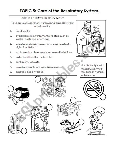 Respiratory System Care Esl Worksheet By Karenlore29