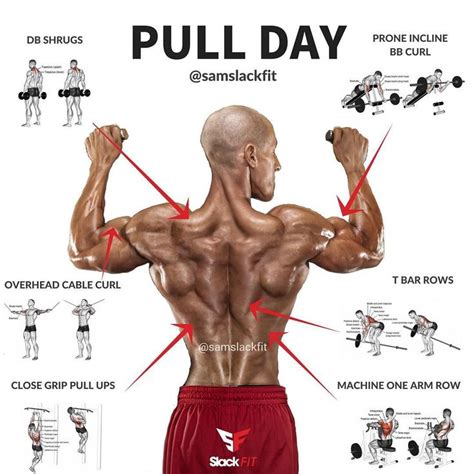 Pull Day ⠀⠀⠀⠀⠀⠀⠀⠀ For Me I Like To Do A Variation Of A Pull Up Or Lat