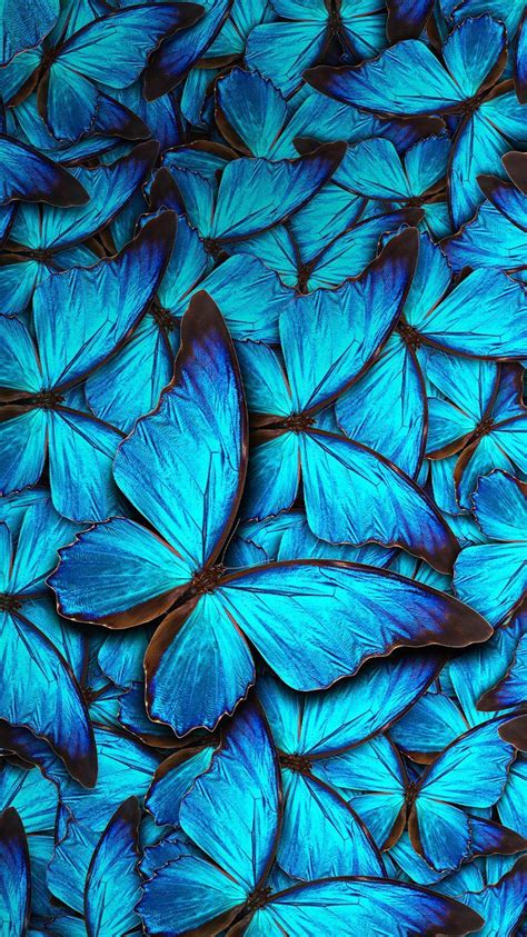 Cute Aesthetic Blue Butterfly Wallpaper Download Free Mock Up
