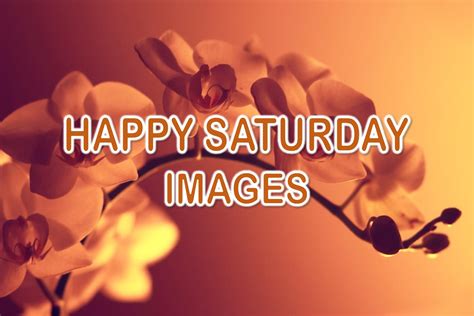 Happy Saturday Images Beautiful Saturday Pictures Superbwishes