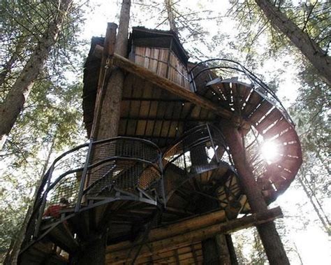 18 Of The Worlds Most Stunning Treehouses Cool Tree Houses Tree