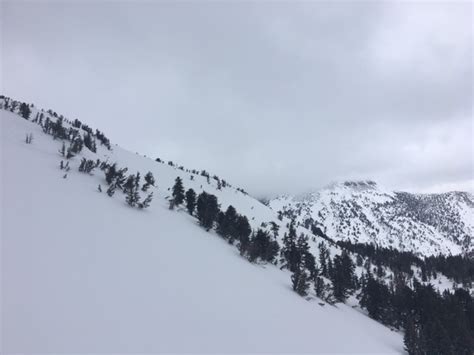 New Snow On Tamarack Peak Sierra Avalanche Center