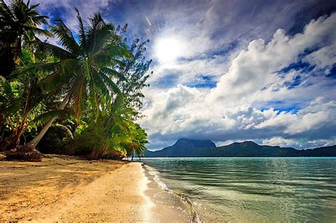 Nature Landscape Beach Sea Palm Trees Clouds Island Sunlight Tropical