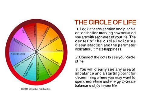 The Circle Of Life Exercise Identifies Areas Of Imbalance Circle Of